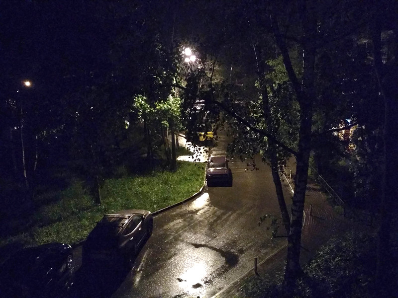 МЧС предупредило москвичей об "очень сильном" дожде и порывистом ветре до 17 м/с