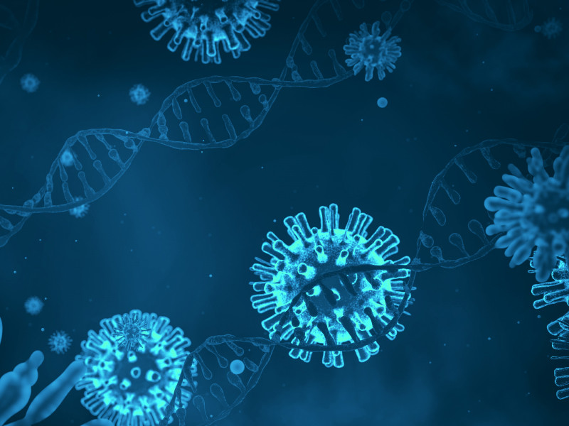В геноме нового коронавируса найден фрагмент белка человека: вирус-захватчик мутировал 		

