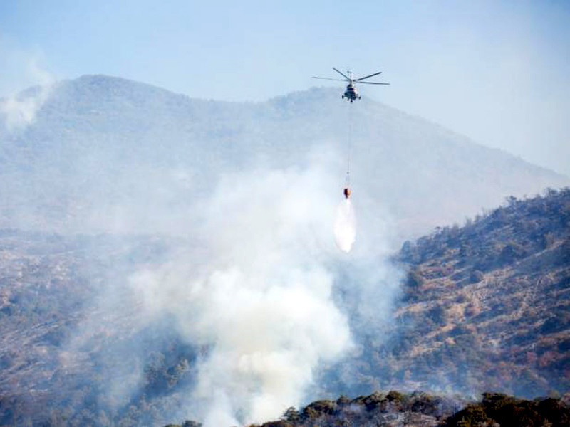 В Супсехском сельском округе Анапы (включает поселок Большой Утриш) объявлен режим чрезвычайной ситуации из-за крупного лесного пожара
