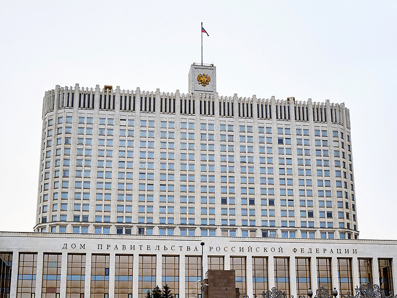 Правительство РФ хочет потратить почти 43 млн рублей на борьбу с воронами на крыше Белого дома