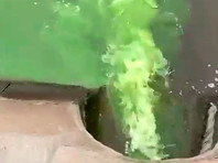 Неустановленная мутно-зеленая жидкость попала в Москву-реку из коллектора в районе Пречистенской набережной