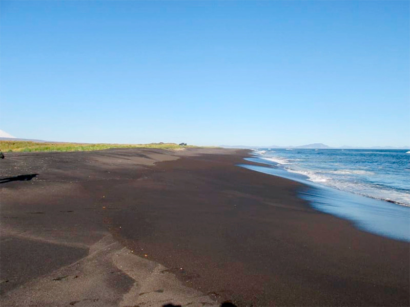 Генпрокуратура Росссии сообщила, что взяла под контроль ход и результаты проверки о загрязнении морской воды в районе Халактырского пляжа на Камчатке
