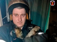 Более 400 диких и домашних животных были спасены сотрудниками МЧС Москвы с начала 2020 года