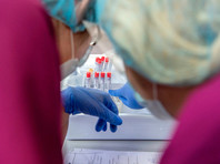 Первый случай заражения "британским" штаммом коронавируса обнаружен в России