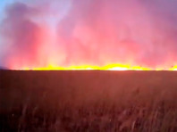 В Приморском крае сгорела почти половина природного парка "Хасанский" (ВИДЕО)