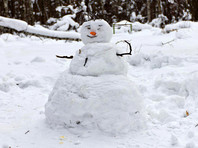 В Калуге неизвестные вандалы уничтожили "парад снеговиков", ставший популярным в соцсетях
