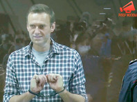 Суд назначил Навальному 850 тысяч рублей штрафа по делу о клевете в адрес ветерана