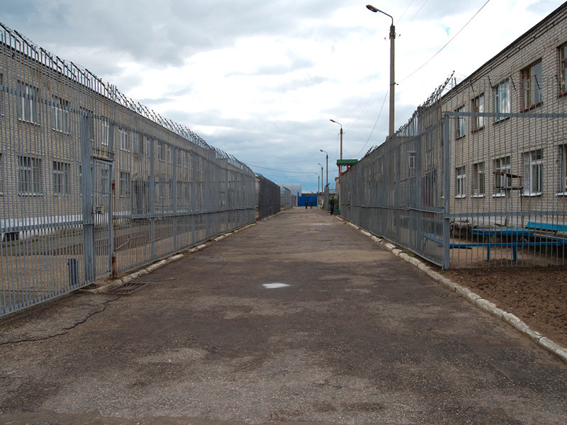 Навальный подаст в суд на ИК-2 из-за номера "Новой газеты", из которого вырезали статью