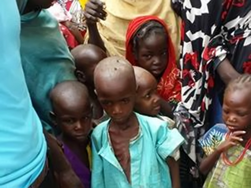 Представители организации "Врачи без границ" впервые смогли побывать в лагере для перемещенных лиц в нигерийском городе Бама, где находится 24 тысячи человек, покинувших свои дома из-за нападений экстремистов из "Боко харам"