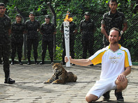 В Бразилии пристрелили ягуара, участвовавшего в эстафете олимпийского огня