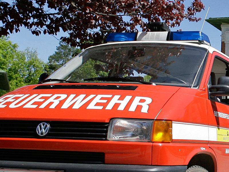 В Австрии пожарные прибыли по срочному вызову к ребенку с унитазным сиденьем на голове