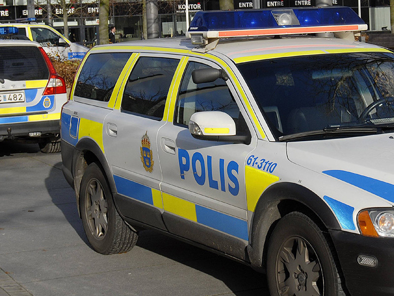 В шведском городе Мальме в торговом центре во вторник, 27 июля, после 16 часов по местному времени (17 по Москве) неизвестный выстрелом ранил в ногу мужчину