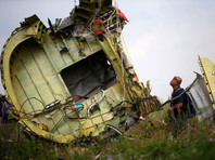 17 июля 2014 в небе над территорией, контролируемой вооруженными сторонниками самопровозглашенной Донецкой народной республики, был сбит малайзийский самолет рейса MH17