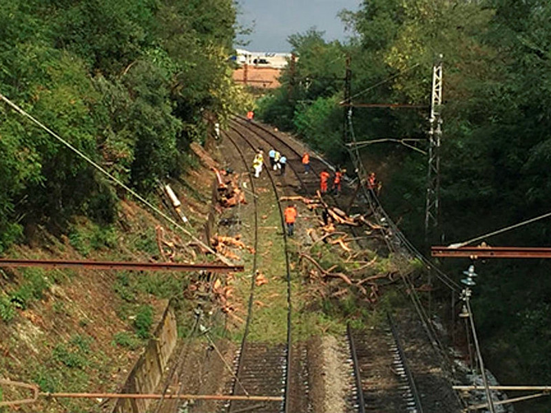 На юге Франции поезд столкнулся с упавшим на железнодорожные пути деревом