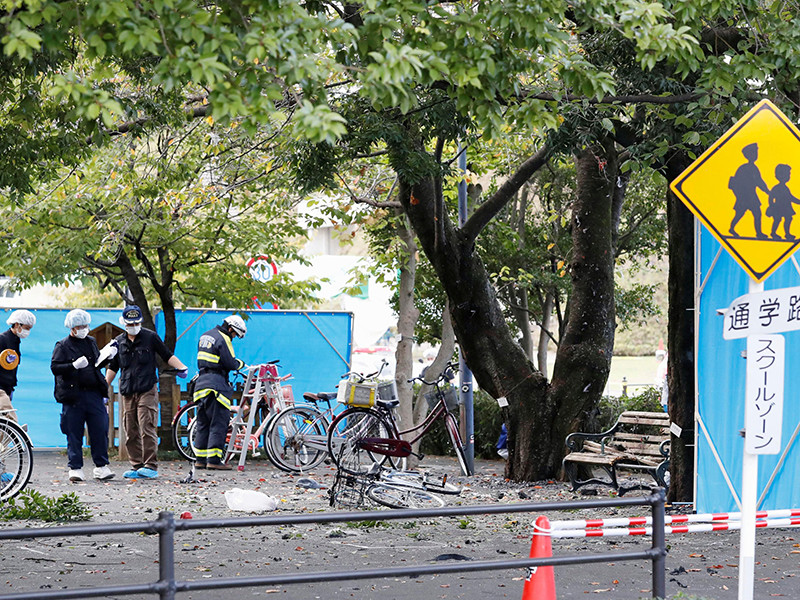 В Японии произошли взрывы в парковой зоне: один человек погиб