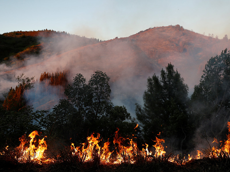 Лесной пожар уничтожил десятки жилых домов и строений на севере американского штата Калифорния