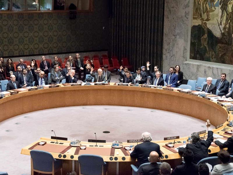 Новая Зеландия объявила о приостановке работы над проектом резолюции Совета Безопасности ООН, направленной на прекращение боевых действий в Алеппо