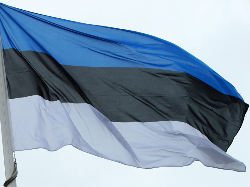 Правительство Эстонии разрабатывает план действий на случай военного нападения