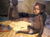14 миллионов жителей северо-востока Нигерии, захваченного террористами из исламистской военизированной группировки "Боко харам", нуждаются в гуманитарной помощи, без которой 75 000 детей подвержены риску умереть от голода