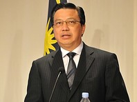 Министр транспорта Малайзии Лиоу Тионг Лай на заседании парламента страны накануне, 15 ноября, сообщил, что следствию удалось установить имена 100 человек, которые виновны в гибели пассажирского лайнера, сбитого над Донбассом в 2014 году