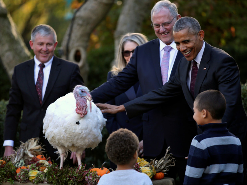 Барак Обама в качестве президента США последний раз помиловал индейку в канун Дня благодарения