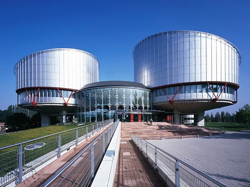 Европейский суд по правам человека (ЕСПЧ) в приоритетном порядке рассмотрит дело российского активиста Ильдара Дадина, который ранее жаловался на избиения и побои в карельской исправительной колонии N7 города Сегежа