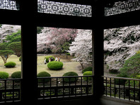 Всего за прошлый год парк Синдзюку-гёэн посетили около 2 млн человек, наибольший поток туристов был отмечен в сезон цветения вишни и во время осенних листопадов