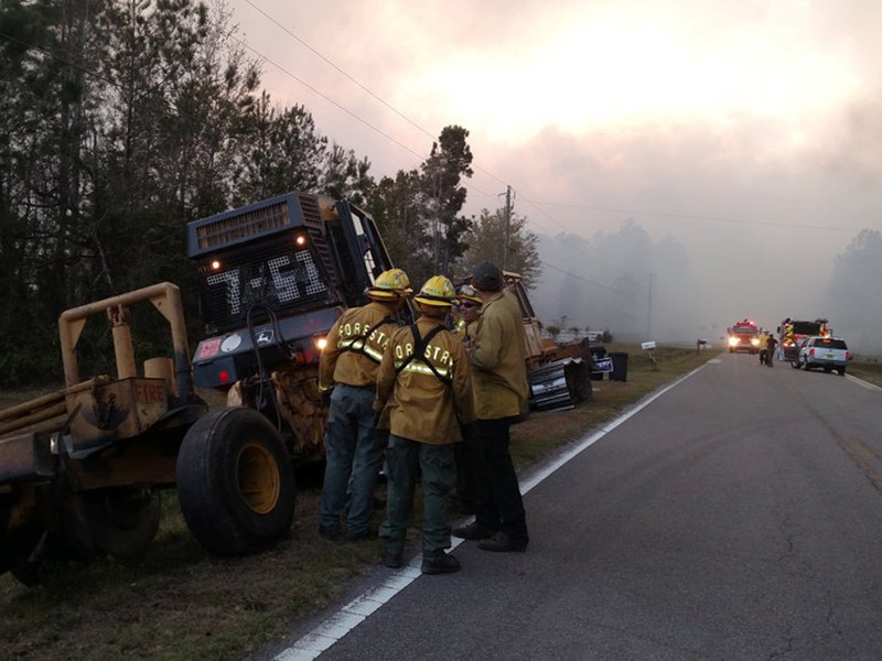 В США один из жителей населенного пункта Брайсвилл в округе Нассау (штат Флорида) устроил крупный лесной пожар, сжигая книги
