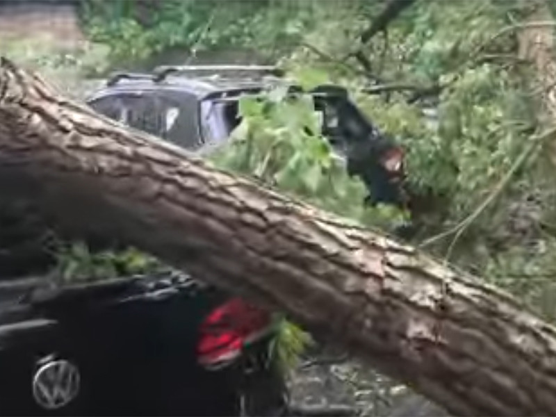 На Киев вслед за Москвой обрушился ураган, поваливший деревья на машины
