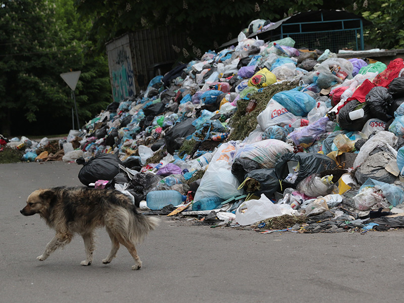 Городские власти Львова обратились к правительству Украины с просьбой объявить чрезвычайную экологическую ситуацию в связи с невозможностью вывоза мусора