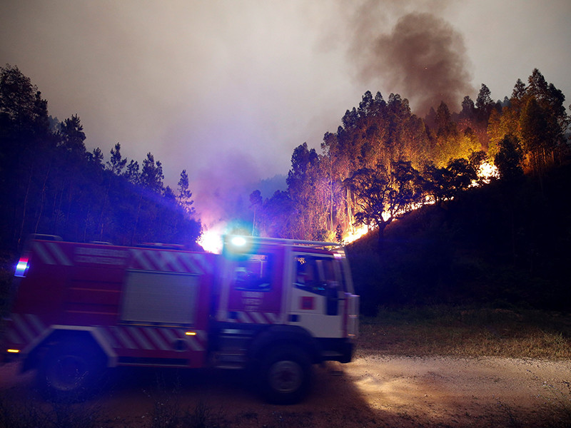 Число жертв лесного пожара в Португалии превысило 60