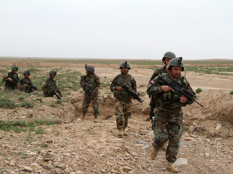 Пентагон потратил 94 миллиона долларов на камуфляжную военную форму для солдат в Афганистане с принтом, предназначенным для маскировки в лесу
