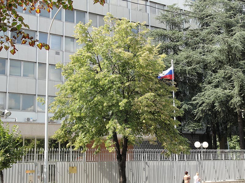 Посольство в Сербии подтвердило задержание россиян в Косово

