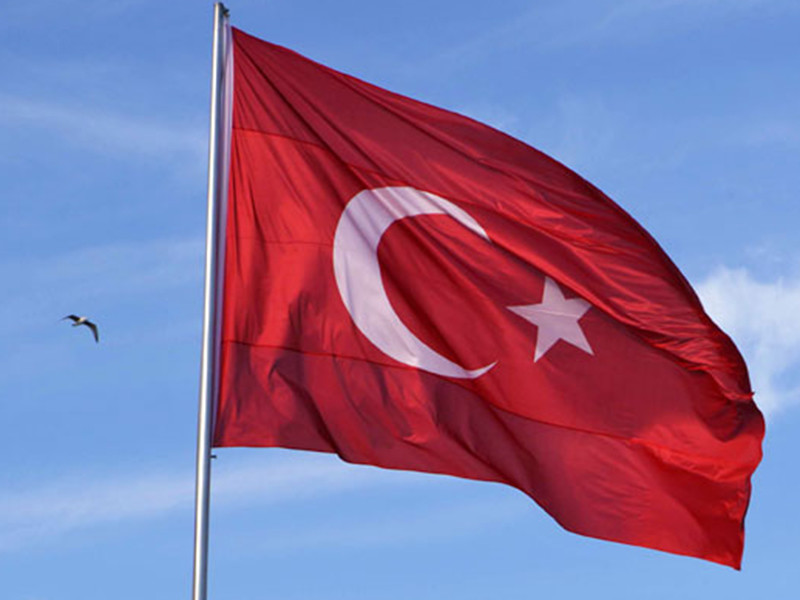 В Минздраве Турции опровергли сообщения об эпидемии вируса Коксаки в стране