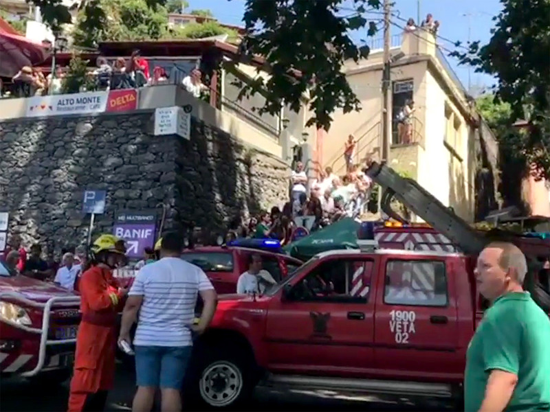 На португальском архипелаге Мадейра большое дерево во вторник, 15 августа, упало на людей, которые собрались на религиозную церемонию