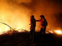 За выходные в Португалии и Испании при пожарах погибли около 40 человек