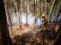 В Испании и Португалии  из-за сильных лесных пожаров погибли не менее 30 человек