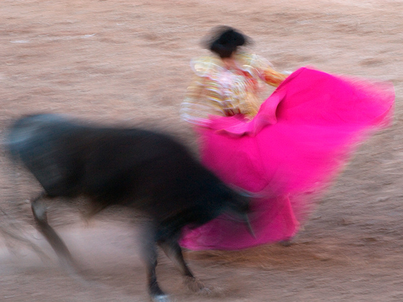 В Мексике во время корриды бык проткнул горло матадору. Раненый тореадор вернулся на арену и убил животное
