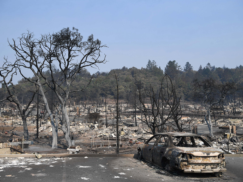 Число погибших в результате лесных пожаров в американском штате Калифорния выросло до 40 человек