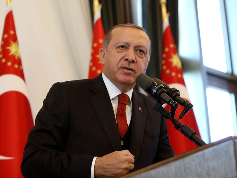 Президент Турции Реджеп Тайип Эрдоган, комментируя кризис в отношениях Анкары и Вашингтона, прибег к метафоре со львом, у которого вырвали когти и пытаются укротить