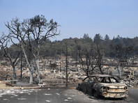 Опустошение и ужас: число жертв пожаров в Калифорнии достигло 40 человек