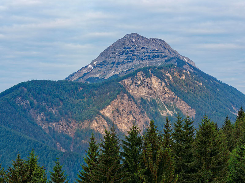 В Австрии туристка обнаружила необычное произведение искусства на вершине горы Ötscher
