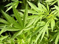 Конституционный суд Грузии отменил уголовное наказание за употребление марихуаны
