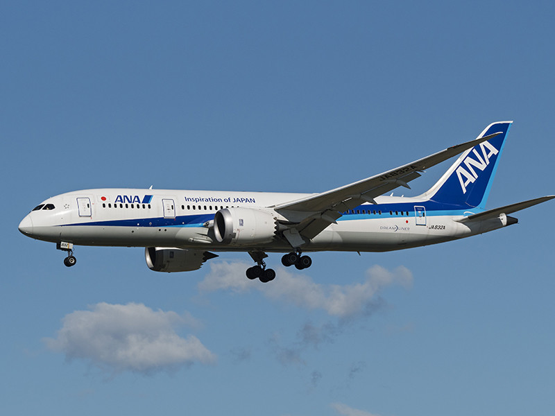 Самолет японской авиакомпании All Nippon Airways (ANA), направлявшийся из Лос-Анджелеса в Токио, был вынужден развернуться после четырех часов в пути и вернуться в аэропорт вылета из-за обнаружившегося на борту незарегистрированного пассажира