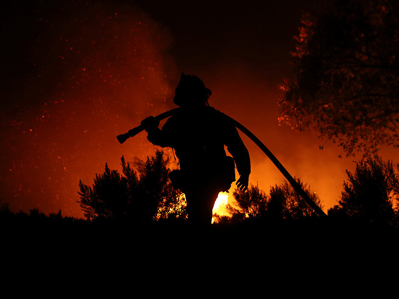 Трамп ввел в Калифорнии режим ЧС из-за непрекращающихся лесных пожаров

