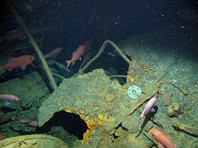 Обломки первой подводной лодки Австралии HMAS AE1 обнаружили на глубине 300 метров у острова Дьюк-оф-Йорк, входящего в состав Папуа - Новой Гвинеи, в ходе 13-й по счету поисковой экспедиции