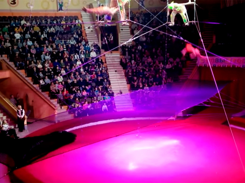 В цирке в Гомеле сорвалась с высоты гимнастка из московской труппы

