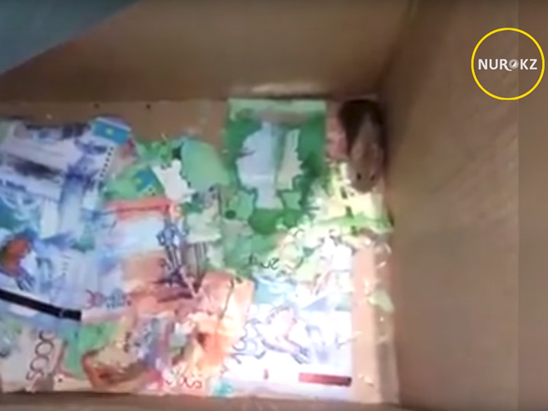 Сотрудники казахстанского банка ForteBank 12 января обнаружили, что в одном из банкоматов мыши погрызли купюры на сумму не менее 100 тысяч тенге (чуть больше 17 тысяч рублей)