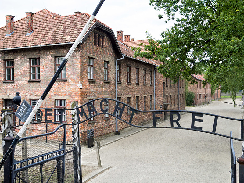 Суд в польском городе Освенцим приговорил к тюремному заключению двух организаторов скандальной акции у нацистского концлагеря Аушвиц-Биркенау (Освенцим)