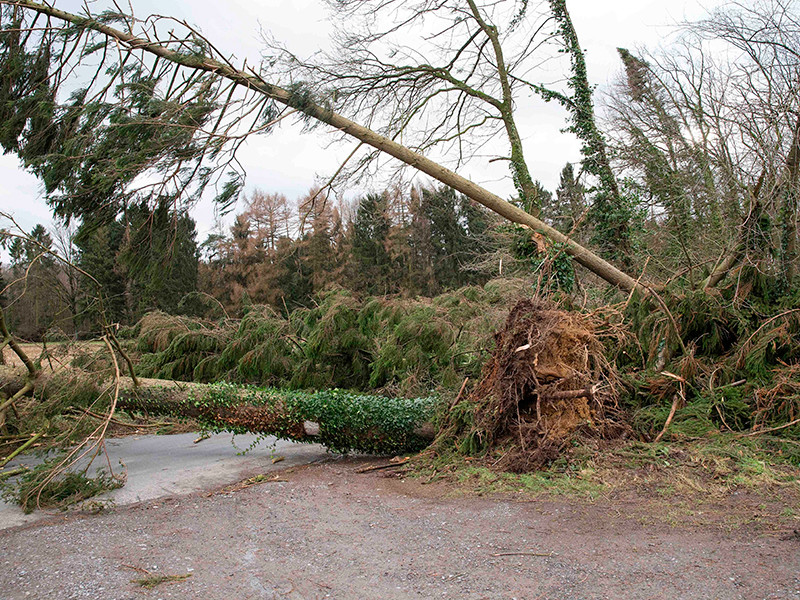 На Северную Европу обрушился ураган "Фредерике": в Нидерландах и Германии погибли 6 человек

